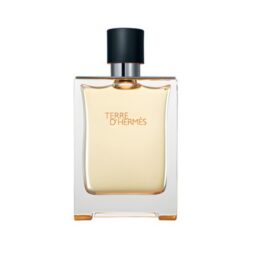 A75/US 094A/CLS104   Terre d'Hermès Hermès (for men)爱马仕大地