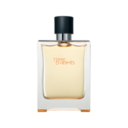 A75/US 094A  Terre d'Hermes Hermes  for men